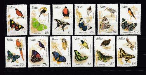 STUNNING BIRDS ON AUCTION TODAY ALL UMM  25 POUNDS