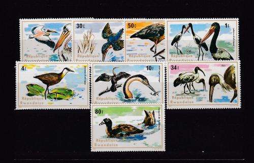BEAUTIFUL BIRDS ON AUCTION TODAY-MANY GREAT SETS ALL UMM