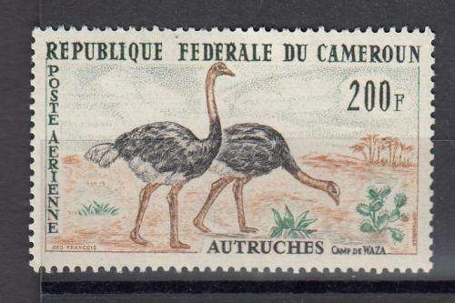 BIRDS GALORE TODAY-SCARCE STAMP CAMEROUN SG326 AIR SUPERB UMM  8 POUNDS