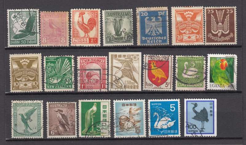 BIRDS ON AUCTION-FILL SOME GAPS SOME GREAT LOTS TODAY-SEE THEM ALL