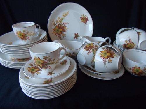 45 PIECE ALFRED MEAKIN SET IN VERY GOOD CONDITION