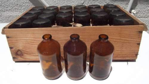 A DOZEN OLD DUMPY BEER BOTTLES IN THEIR ORIGINAL WOODEN CRATE - PERFECT FOR THE HOME BREWER