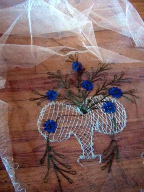 A BEAUTIFUL EMBROIDERED NET