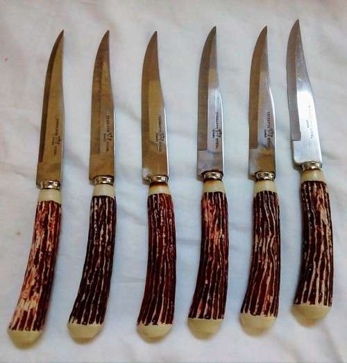 Gorgeous set of six stainless steel steak knives with faux horn handles