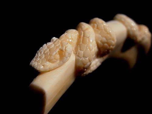 Fine SNAKE carving