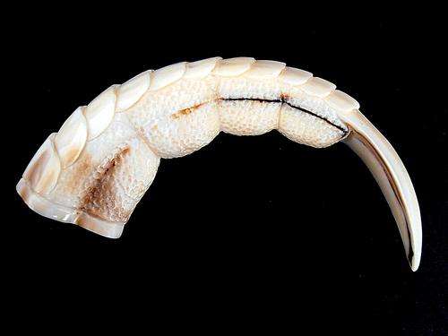 Fine EAGLE CLAW carving
