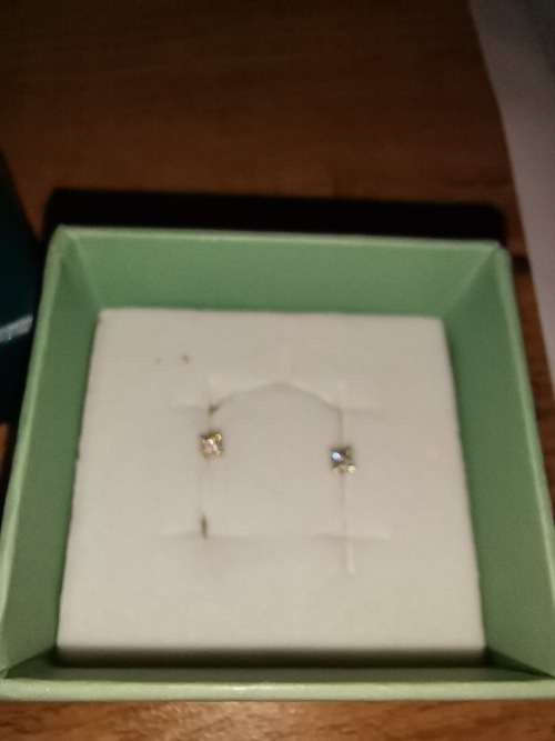 9ct Gold Claw Set Diamond Stud earrings