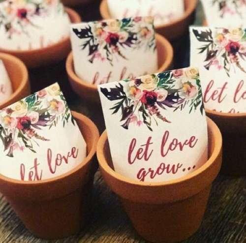 Let the Love Grow