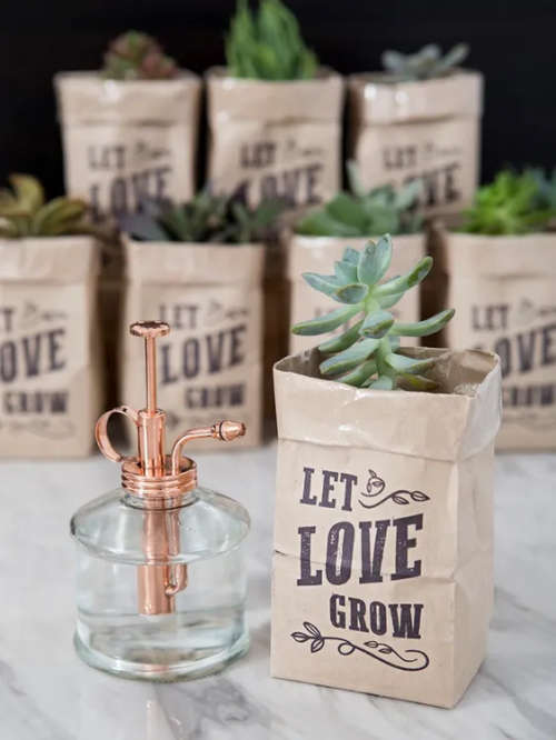 Let the Love Grow