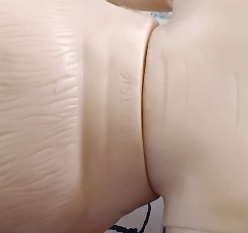 boy doll:detailed boy doll