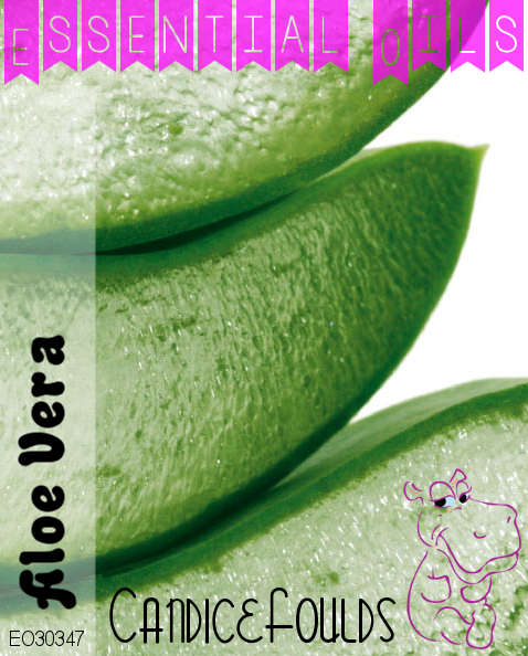 Clary Sage Oil