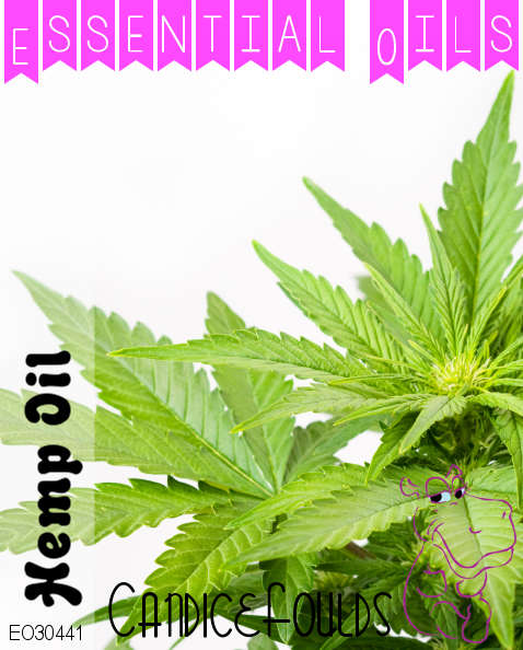 Clary Sage Oil