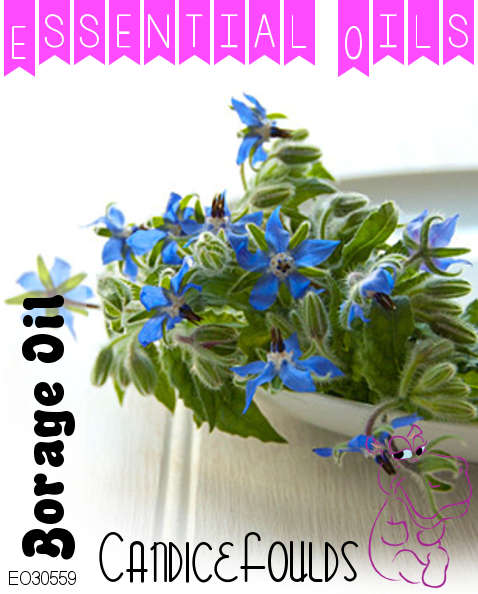 Clary Sage Oil