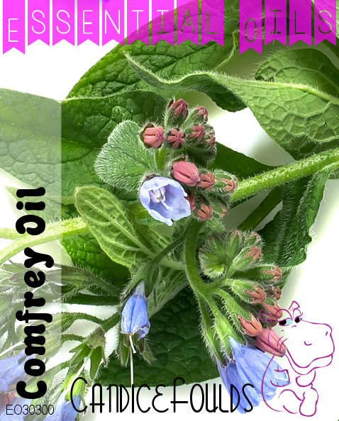 PURE Essential Oil - Comfrey EO - 200gm