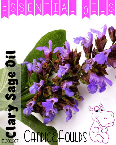 Clary Sage Oil