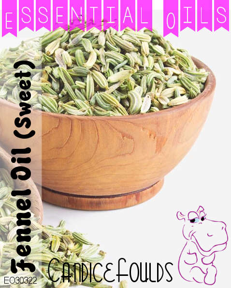PURE Essential Oil - Fennel EO Sweet - 100gm
