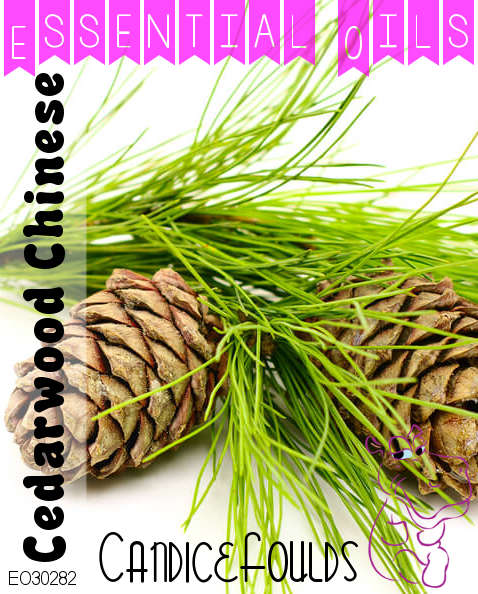 PURE Essential Oil - Cedarwood EO (Chinese) - 11ml