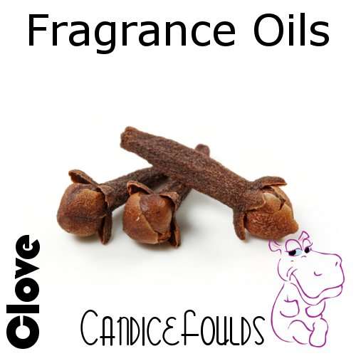 Fragrance Oil - 200 gram/ml - Clove (33-283BR)
