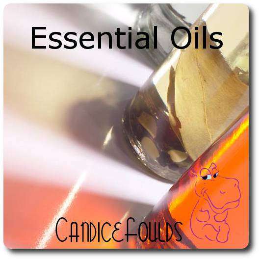Vegetal Carrier Oils - Grapeseed Oil (30388) - Source (Seeds) - 500 ml