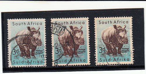 1954 - 2 x 3d White Rhinoceros