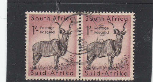 1s Kudu pair