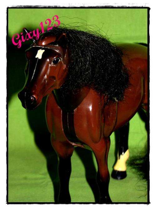 Adorable Shelly-sized Pony