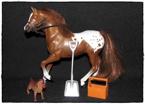 Shelly-sized Horse & Accessories