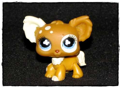 Littlest Pet Shop Doggy (?) made by Hasbro