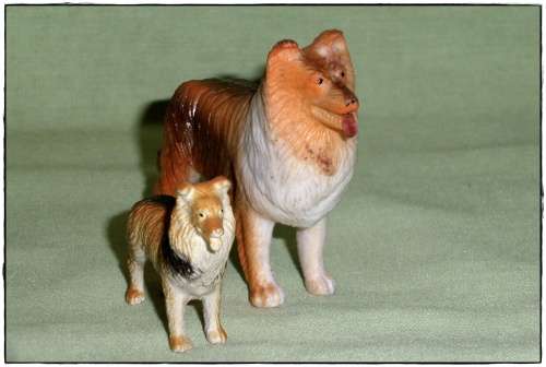 **PET PALOOZA** Barbie-sized dog/puppy with accessories