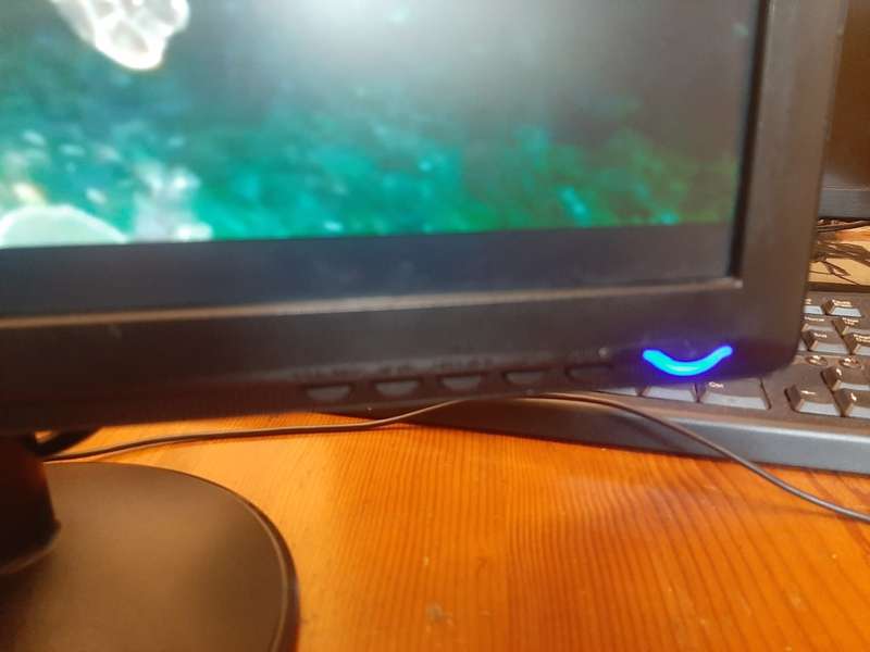 LG W1934S-BNI 19` VGA Monitor