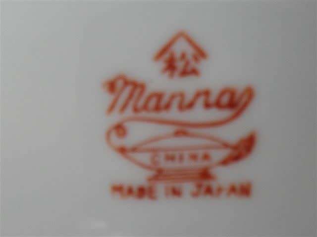 Manna China Tea Set with lipothane bottoms