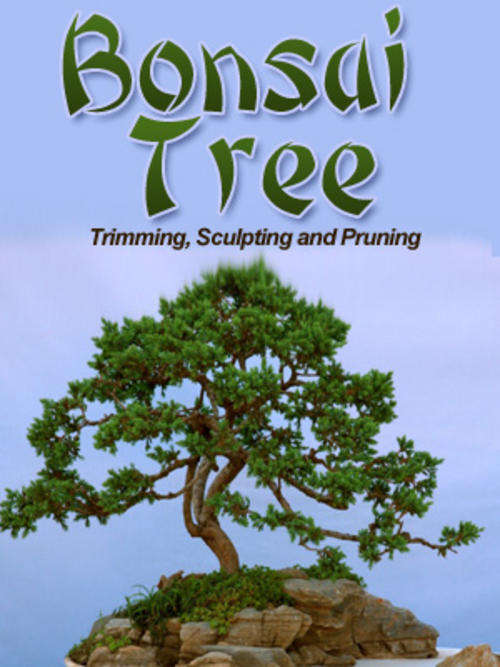 Bonsai - ebook