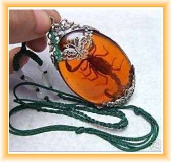 RARE TIBETiAN AMBER COLORED SCORPIAN LUCKY NECKLACE PENDANT * R1 No Res Saver Auction *