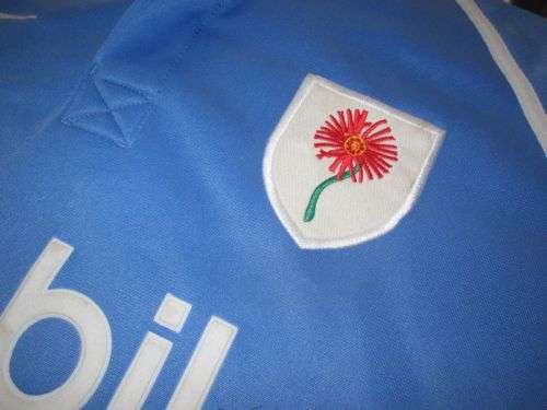 Blue Bulls Rugby Jersey 2004