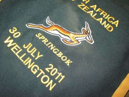 Springbok Match Pendant 2011