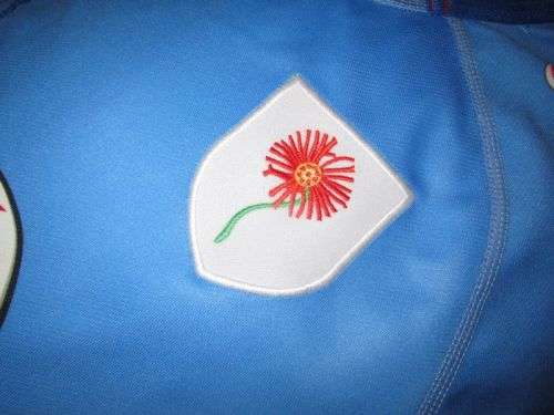 Blue Bulls Rugby Jersey 2014