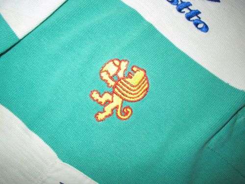 Benetton Rugby Treviso Jersey 1990's