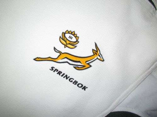 Springbok Rugby Jersey and Pendant 2004 - Quinton Davids