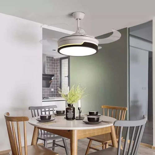 Ceiling Fan with Led Light