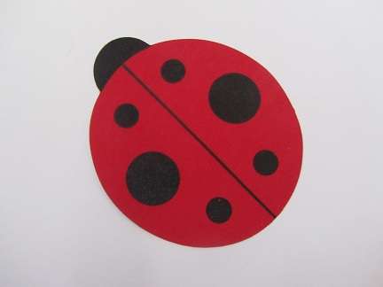 Nipple Pasties
