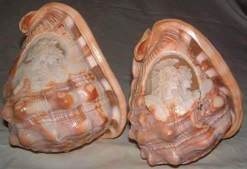 CONCH SHELLS CARVED - ITALY 1943
