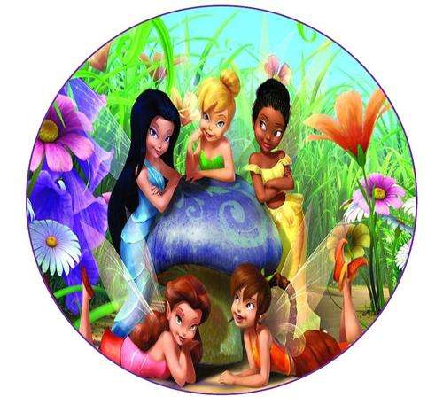 Tinkerbell Round Cake Edible Picture & 16 Edible Cupcake Toppers