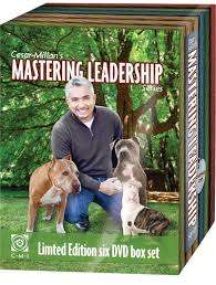 Dog training - Cesar Millan Mastering Leadership Series