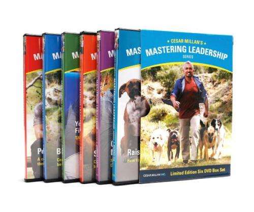 Dog training - Cesar Millan Mastering Leadership Series
