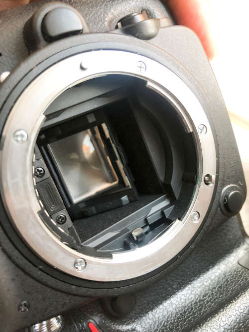 Nikon D7000 with 55-200mm lens (Pro digital camera)