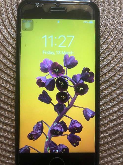 iPhone 8 64GB