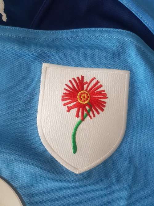 Blue Bulls Rugby Jersey Blou Bul Rugby Trui New Collectors Item Size Large Beautiful Great Design