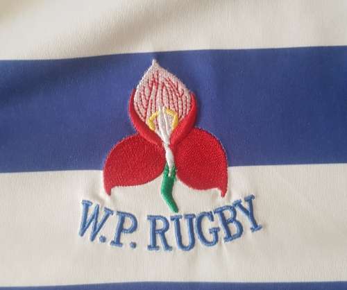 WP Rugby Jersey Western Province Rugby Jersey Vintage Collectors Item