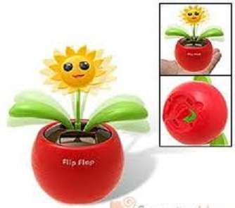 Solar Powered Flower!
