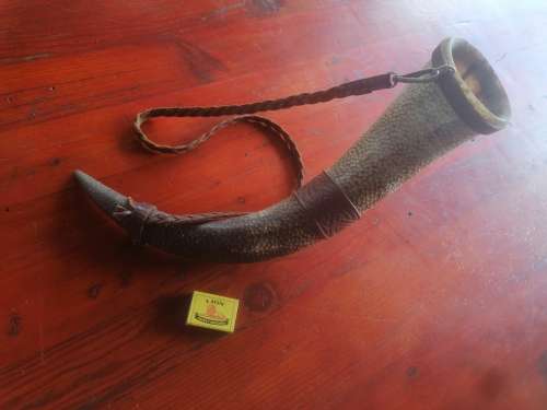 Large Celtic themed drinking horn with carry strap and stand